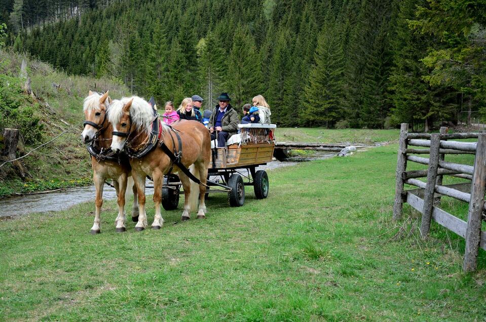 Horse and carriage ride Teichalm - Impression #1 | © Pferdebetrieb Hrovat